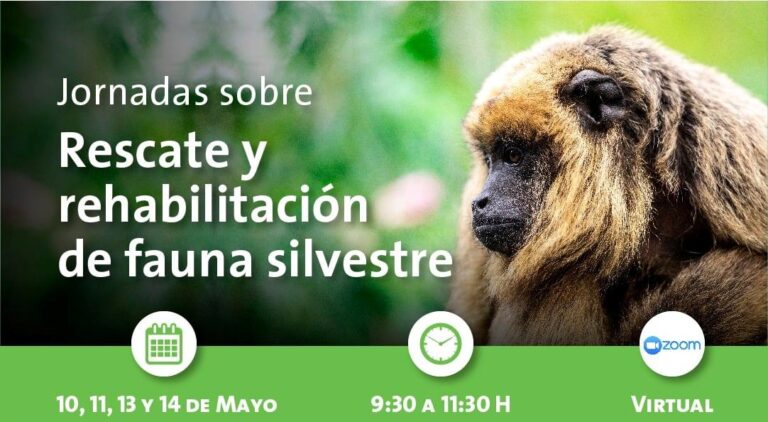 Agenda Virtual: Jornadas sobre rescate y rehabilitación de fauna silvestre