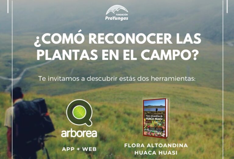 Agenda Virtual: ¿Cómo reconocer las plantas en el campo?
