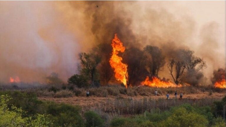 Entre Ríos: preocupación por cuatro focos activos que se mantienen en la zona de Victoria, Gualeguay e Ibicuy