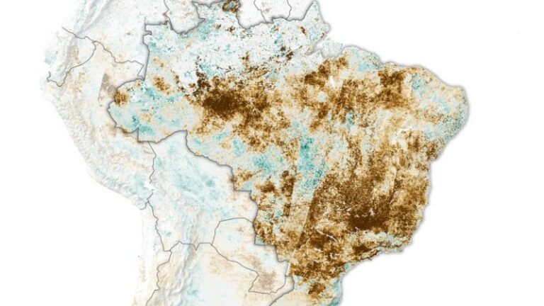 Brasil: la grave sequía que afecta al centro y sur del país sería «la peor en casi un siglo»