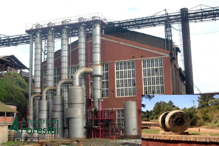 Misiones: proponen rescatar el legado histórico, cultural e industrial de la ex fábrica de Celulosa Argentina con un proyecto de Museo Tecnológico en Puerto Piray