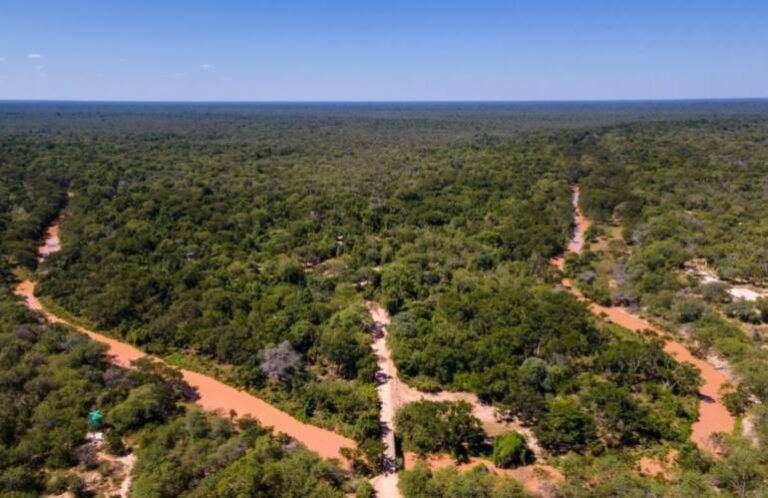 Chaco: crisis de la actividad forestal y taninera por falta de materia prima por desabastecimiento