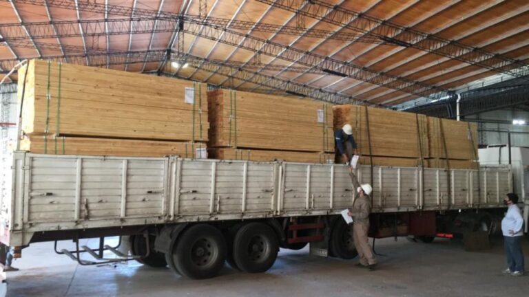 Corrientes: PyME instalada en el Parque Foresto-industrial Santa Rosa iniciará exportación con 10 contenedores de madera a Nueva Zelanda