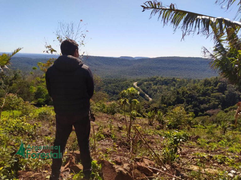 «El Kuña Piru es Mbya»: a dos años del título de propiedad, reivindican la lucha indígena por la recuperación de sus tierras en Misiones