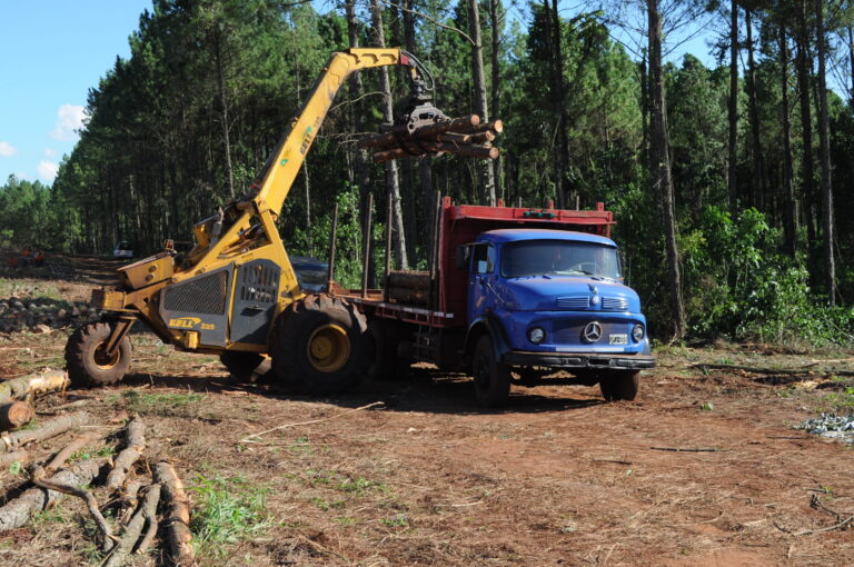 Fernando Dalla Tea: «Una solución a los problemas de abastecimiento es lograr financiamiento adecuado para que PyMEs de servicios puedan mejorar la logística de transporte y cosecha forestal»
