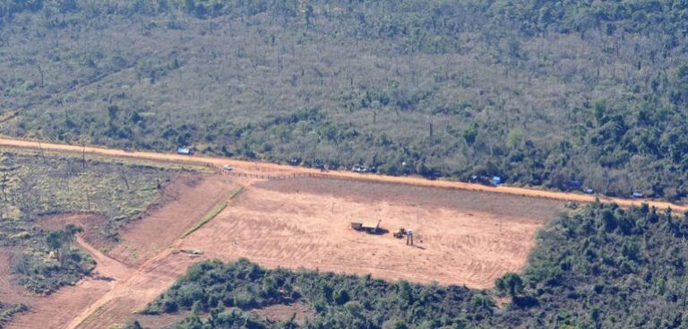 Paraguay: bosques naturales de la emblemática Estancia La Patria fueron certificados por Servicios Ambientales