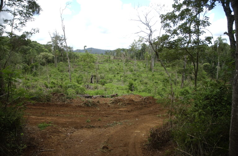 Agenda Virtual: Restauración y salud colectiva, debate sobre enseñanzas de nuevas relaciones con la naturaleza