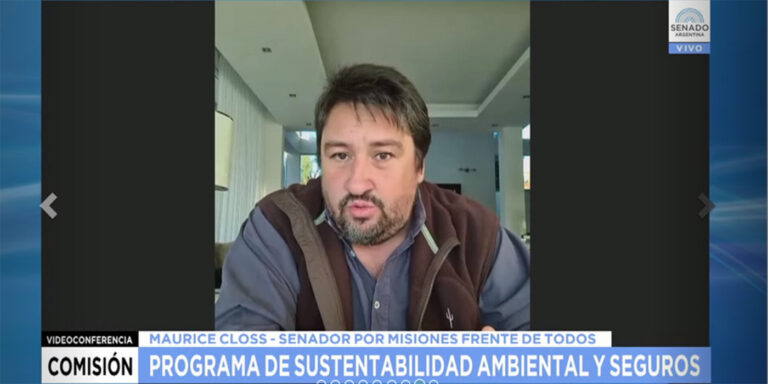 Avanza el tratamiento en el Senado del proyecto de Ley de Seguro Verde para garantizar el financiamiento de la promoción forestal en la Argentina