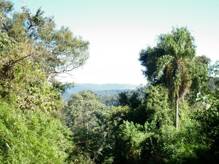 Misiones | Egresan de la UNaM nuevos profesionales en acción climática con foco en proyectos financiables