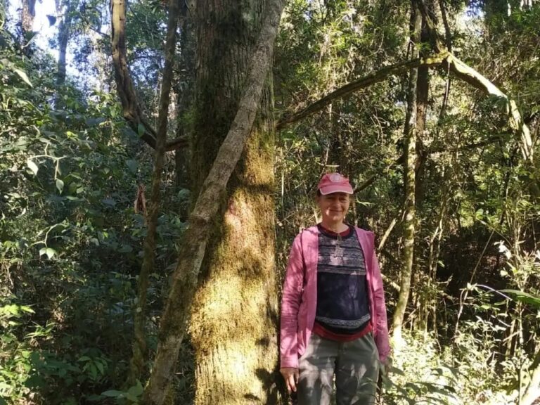 Misiones es la primera provincia del país en registrar ante el INASE un área productora de semillas de especies del bosque nativo