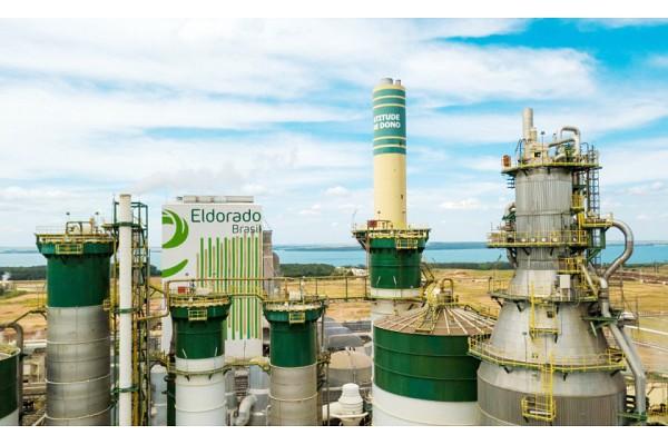 Mato Grosso do Sul: la mega fábrica de Eldorado marcó un registro récord de 14 millones de toneladas de celulosa producidas