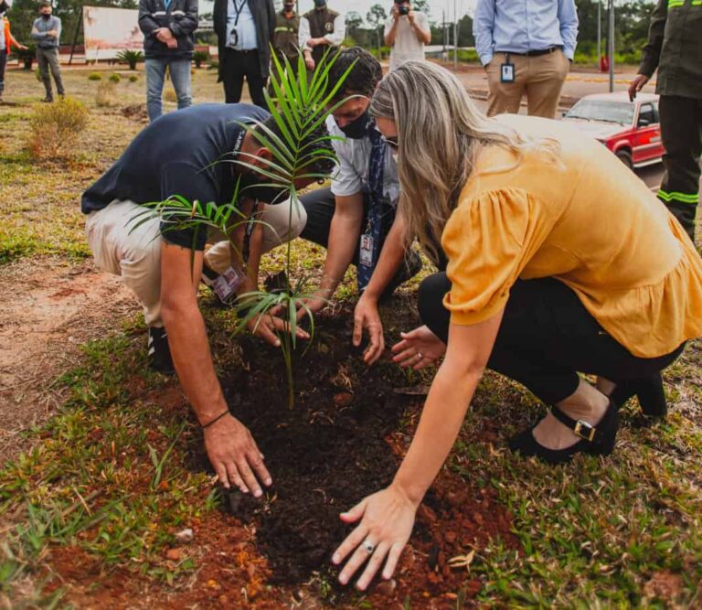 Con un centenar de plantines de especies de la Selva Paranaense reforestaron el Aeropuerto de Puerto Iguazú