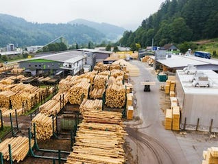 El precio de la madera transita por una montaña rusa