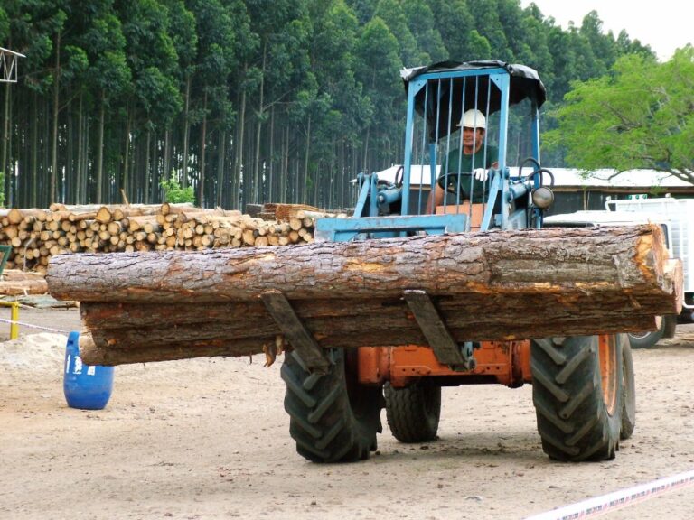 Inversiones sostenibles: la actividad forestal, el desarrollo industrial y su impacto económico en la región desde Entre Ríos