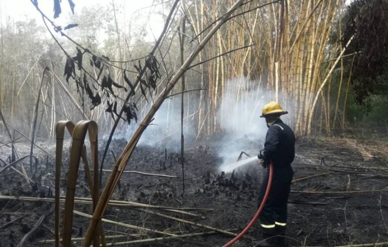 Corrientes: gobierno provincial advierte sobre la vigencia de medidas preventivas para evitar incendios forestales