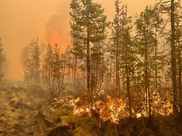 Los incendios forestales estallaron en Siberia, con registros históricos por temperaturas extremas y el complejo escenario climático se extiende en Europea y Asia