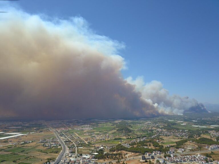 Turquía: declararon catástrofe nacional por incendios forestales de grandes proporciones en 13 provincias del país. Hay víctimas fatales y un centenar de heridos