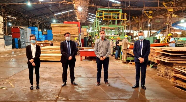 Nación destinará $1000 millones a la financiación de secaderos de madera para aserraderos PyMEs de Misiones