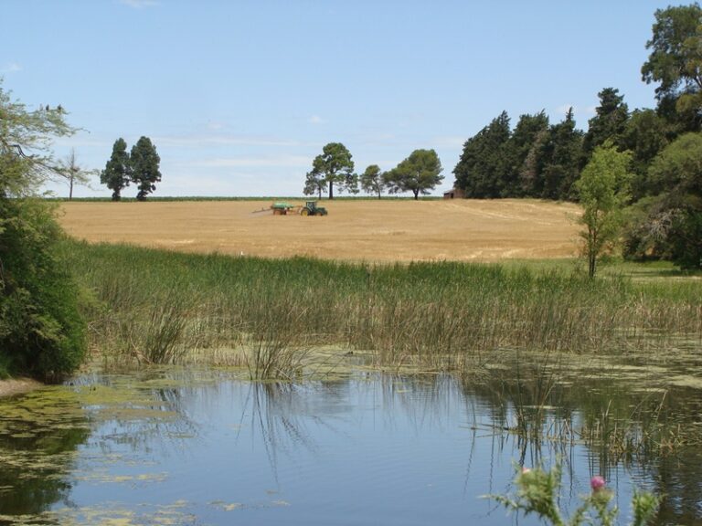 Conocé la relación entre el suelo y el agua para lograr sistemas agroalimentarios sostenibles y resilientes