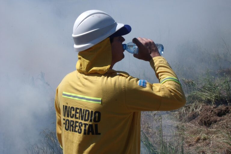 Con abordajes técnicos y comunicacionales, brindaron herramientas sobre Manejo de Fuego en la Argentina
