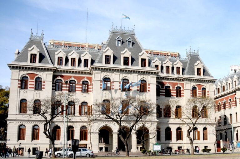 Forestoganadería: Banco Nación y Agricultura lanzaron créditos por $10 mil millones a tasa bonificada para engorde de ganado