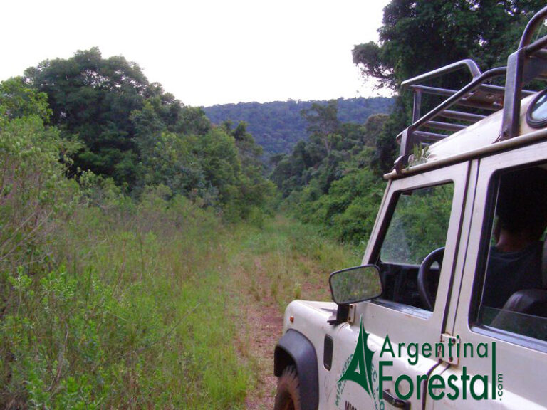 Los Parques Naturales albergan el patrimonio ambiental y cultural de un área, conservarlos es una responsabilidad colectiva