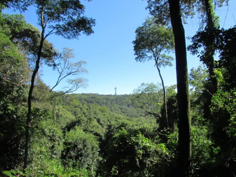 Misiones: conservación, educación ambiental y turismo consciente se unen en la reserva natural privada «Don Rodolfo» en el Cerro Santa Ana