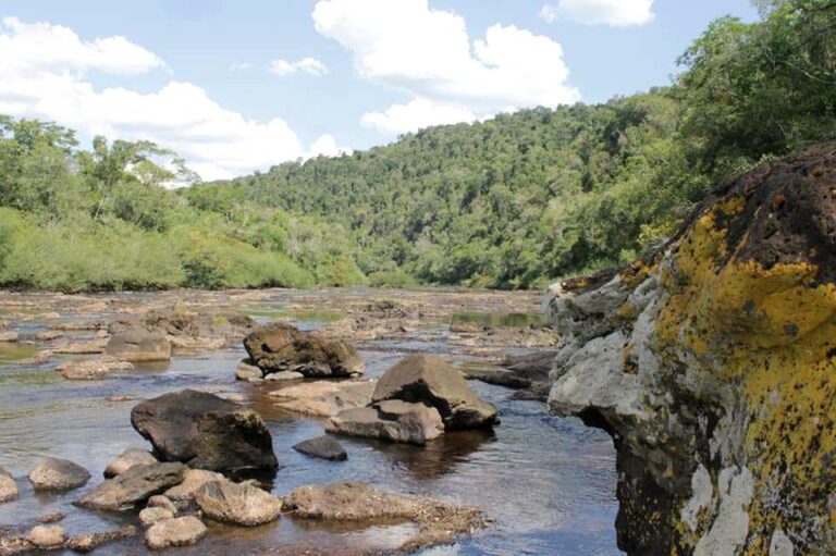 En Misiones fortalecen la gestión en reservas naturales privadas y apuestan a consolidar corredores biológicos para la conservación de la biodiversidad
