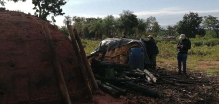 Sector maderero repudió la invasión a una propiedad privada en Concepción con reforestación: «Son actos que ponen en riesgo las inversiones y el desarrollo en Paraguay»