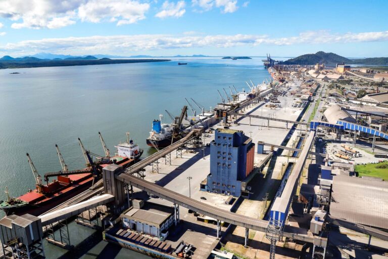 Brasil: con inversiones públicas y privadas, el Puerto de Paranaguá se expande al oeste del muelle