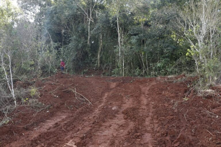 Moconá: iniciaron los trabajos de apertura de un camino terrado en el área protegida para uso exclusivo de comunidades Mbya Guaraní del Lote 8 y guardaparques, y ambientalistas advierten por daños a la biodiversidad