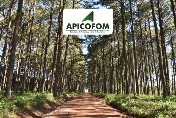Industrias socias de APICOFOM recibieron Certificación Cadena de Custodia PEFC en forma agrupada