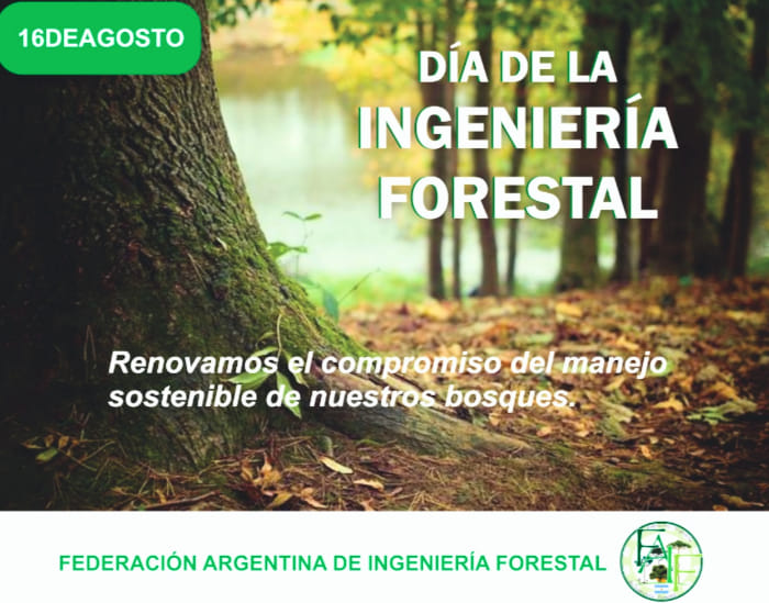 Salutaciones de distintos puntos del país en el día de los profesionales de la Ingeniería Forestal