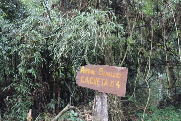 INASE declaró a la Reserva de Uso Múltiple Guaraní como área productora de semillas de especies nativas