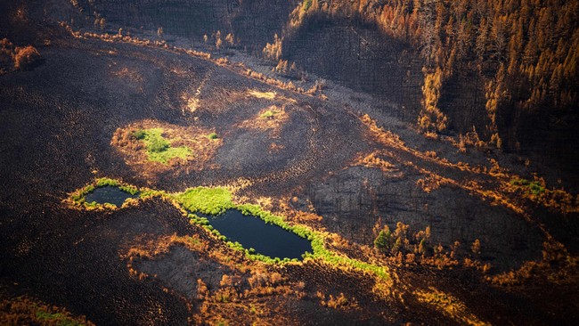 Los incendios forestales en Siberia producen emisiones climáticas récord