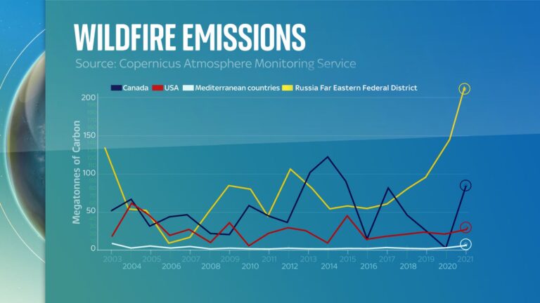 Cambio climático: los datos muestran una enorme huella de carbono liberada por los incendios forestales