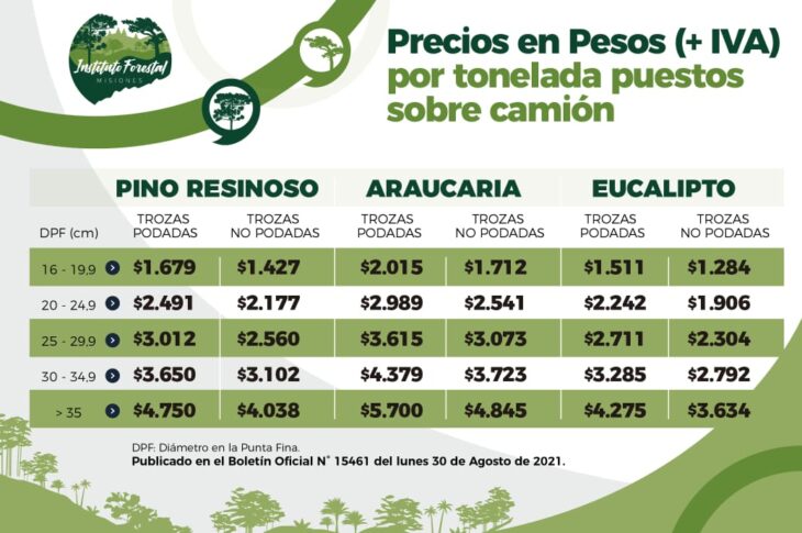 Misiones: rige una actualización de precios mínimos de rollizos de madera desde septiembre