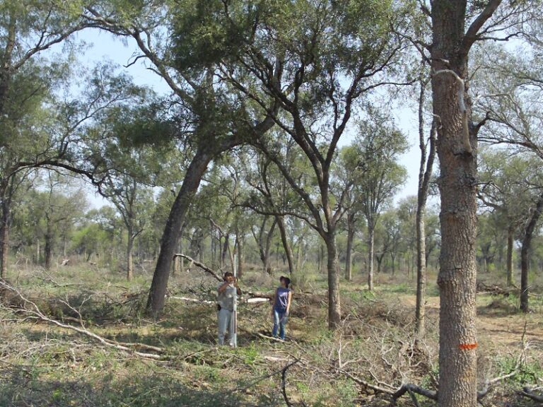 INTA recibirá más de 15 millones de pesos del Proyecto PITES para financiar una propuesta multi-criterio de conservación de los bosques nativos en la Argentina