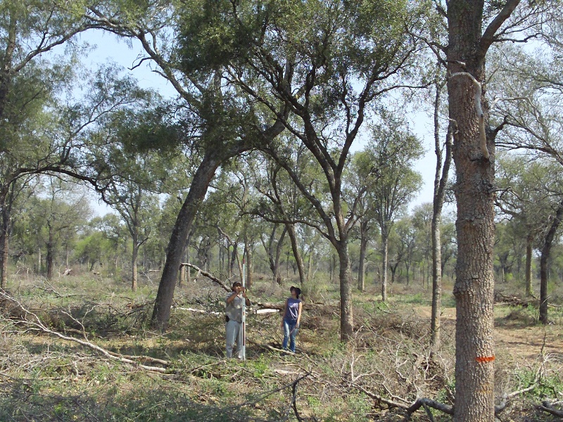 INTA Biodiversidad 1