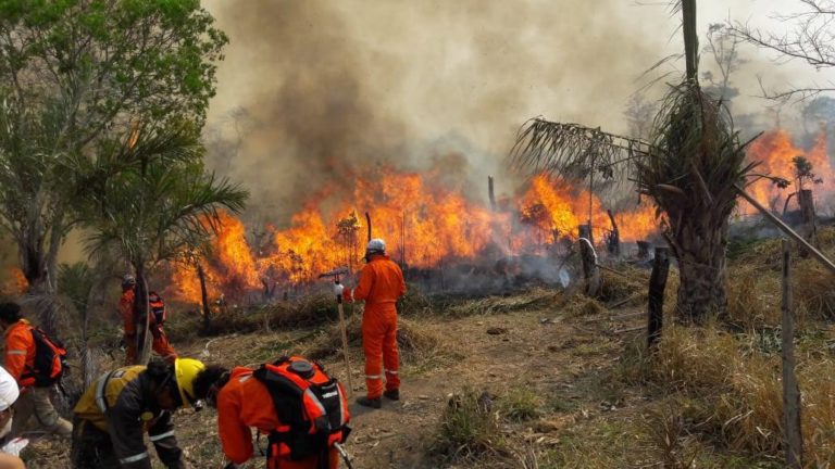 Bolivia: cerca de 800 mil hectáreas de bosques se quemaron en el país en lo que va del año, y los incendios no dan tregua