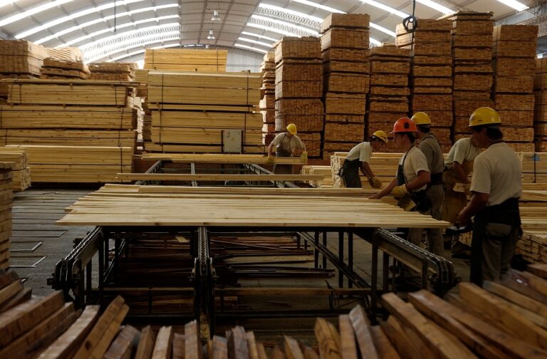 CONFIAR: «La madera argentina tiene potencial de expansión y comercio en el mercado europeo»