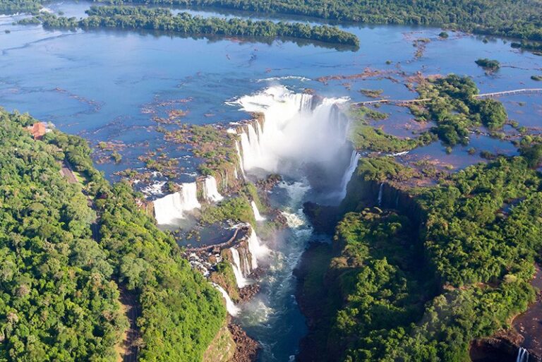 Brasil: la propuesta de apertura de la carretera que cruza el PN Iguacú amenaza el mayor punto de acceso a la biodiversidad