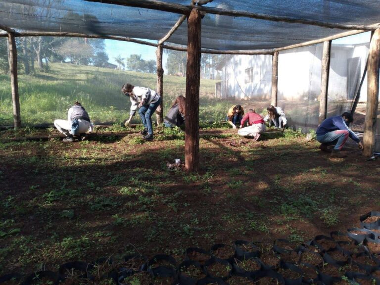 Proyecto USUBI en Misiones: promueven el entrenamiento laboral de empleo verde con jóvenes promotores en el uso sustentable de la biodiversidad