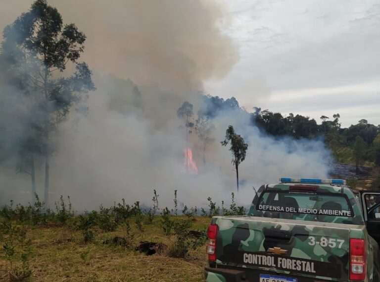 Gestión de riesgos en Misiones ante la irresponsabilidad en sectores de la población: la lucha contra los incendios forestales empieza por «no prender fuego» ante las condiciones climáticas extremas