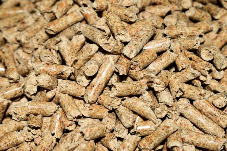 Nuevas estrategias para mercados emergentes: biorrefinerías integradas para la producción de pellets y productos de alto valor