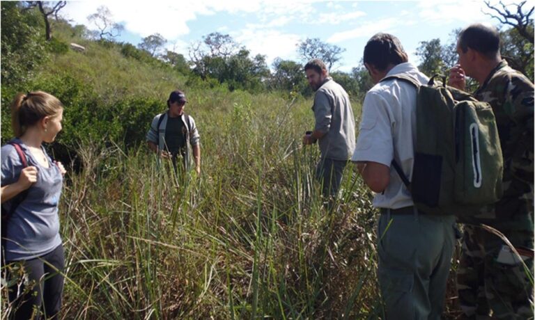 UICN 2021: registran especies endémicas de flora en el Cerrado de San Ignacio, un ambiente único en el país y el mundo