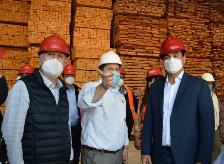 Corrientes: el gobernador Valdés inauguró una obra energética clave para la industria forestal en Esquina