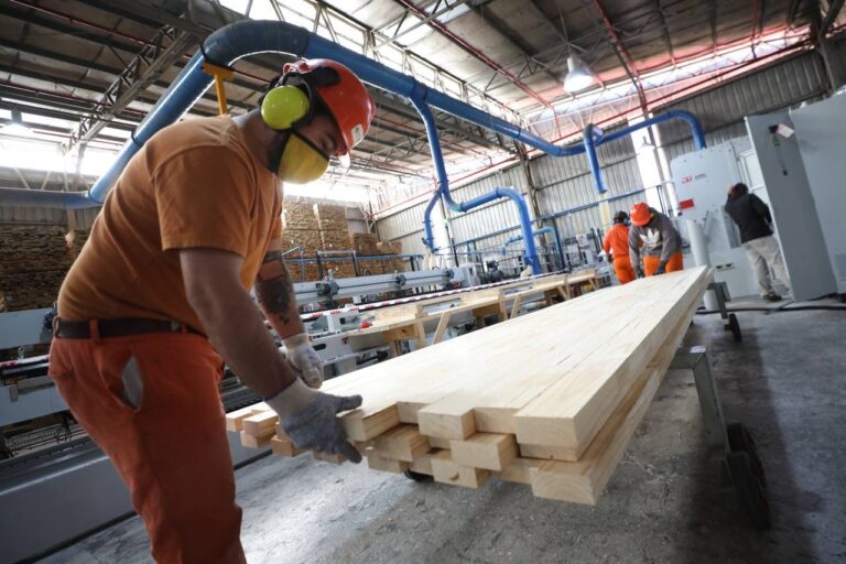 Oportunidad laboral: empresa líder busca un Ingeniero Industrias y/o Industrias de la Madera