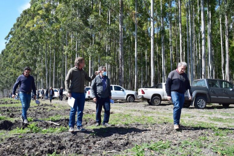 Entre Ríos impulsa el desarrollo local con mayor producción forestal
