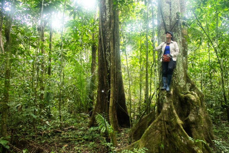 Día Mundial del Turismo: viajar a descubrir las áreas naturales de Perú y cómo ser “guardianes” de los bosques al mismo tiempo